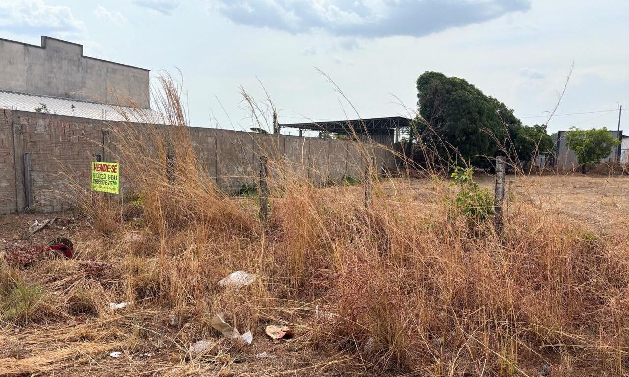 6a43cfc3 Ea25 42dd 82b9 A069f5e6276e